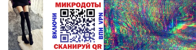 закладка  Самара  Псилоцибиновые грибы Psilocybine cubensis 